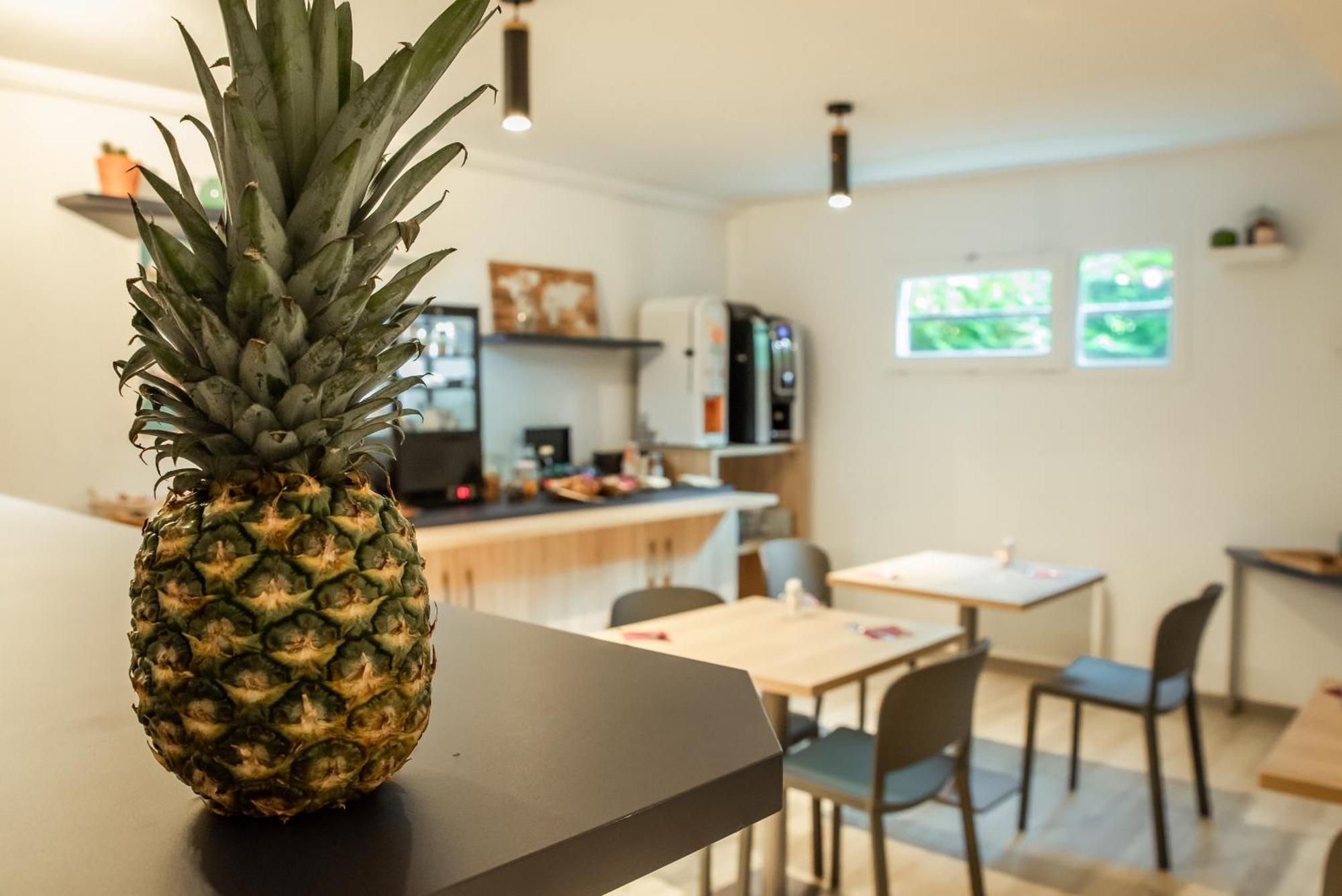 Terres De France Brest Aparthotel Ngoại thất bức ảnh